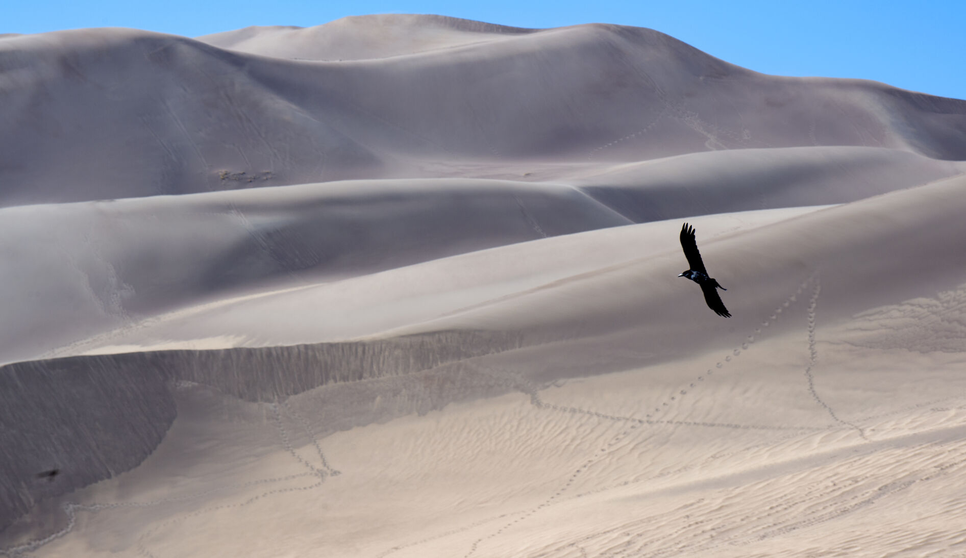 04_07_21 sand dunes1068.jpg